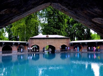 Mossess Tour & Travels